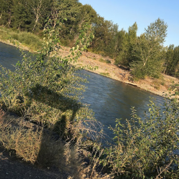 Meet your Posher, Alicia - Picture 1 of 1